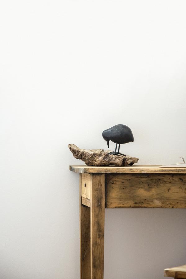 Le Roi Des Oiseaux - Gite A La Campagne 蒙卡夫雷勒 外观 照片